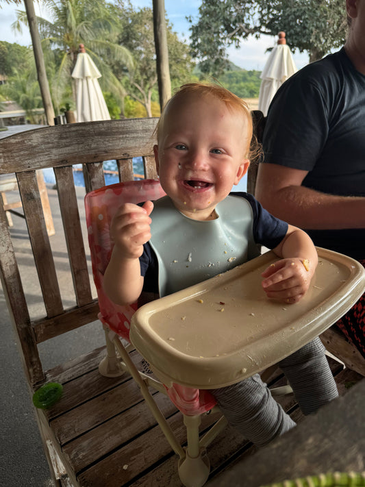 How to Choose the Best Portable Baby Highchair for Your Family